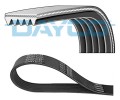 Multirribed belt - DAYCO