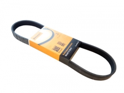 Daudzceliņu siksna - CONTITECH ― AUTOERA.LV