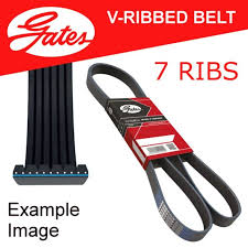 Multirribed belt - GATES ― AUTOERA.LV